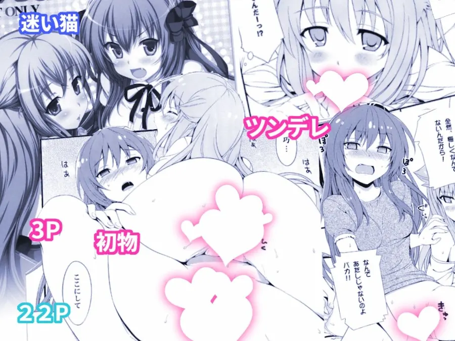 ねこはまんまがうつくしい 最初のまとめ本 無料サンプル5